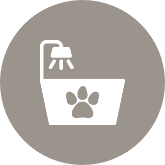 Refresh your pet at the pet spa
